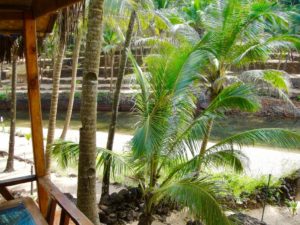 Lagoon Cottage - View