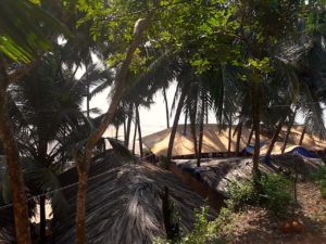 Jungle View Cottage - View From Balcony